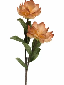 Softflower