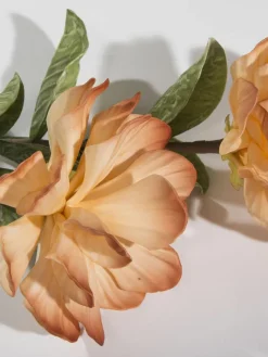 Softflower