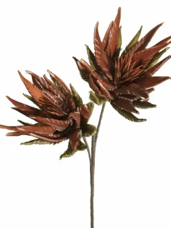 Softflower