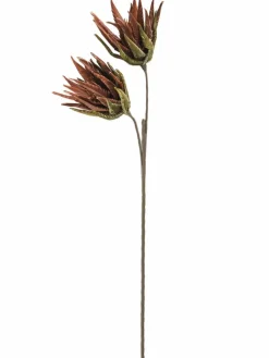 Softflower
