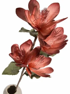 Softflower