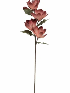Softflower