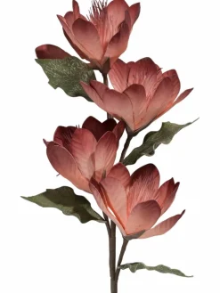Softflower