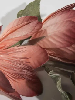 Softflower