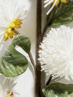 Softflower