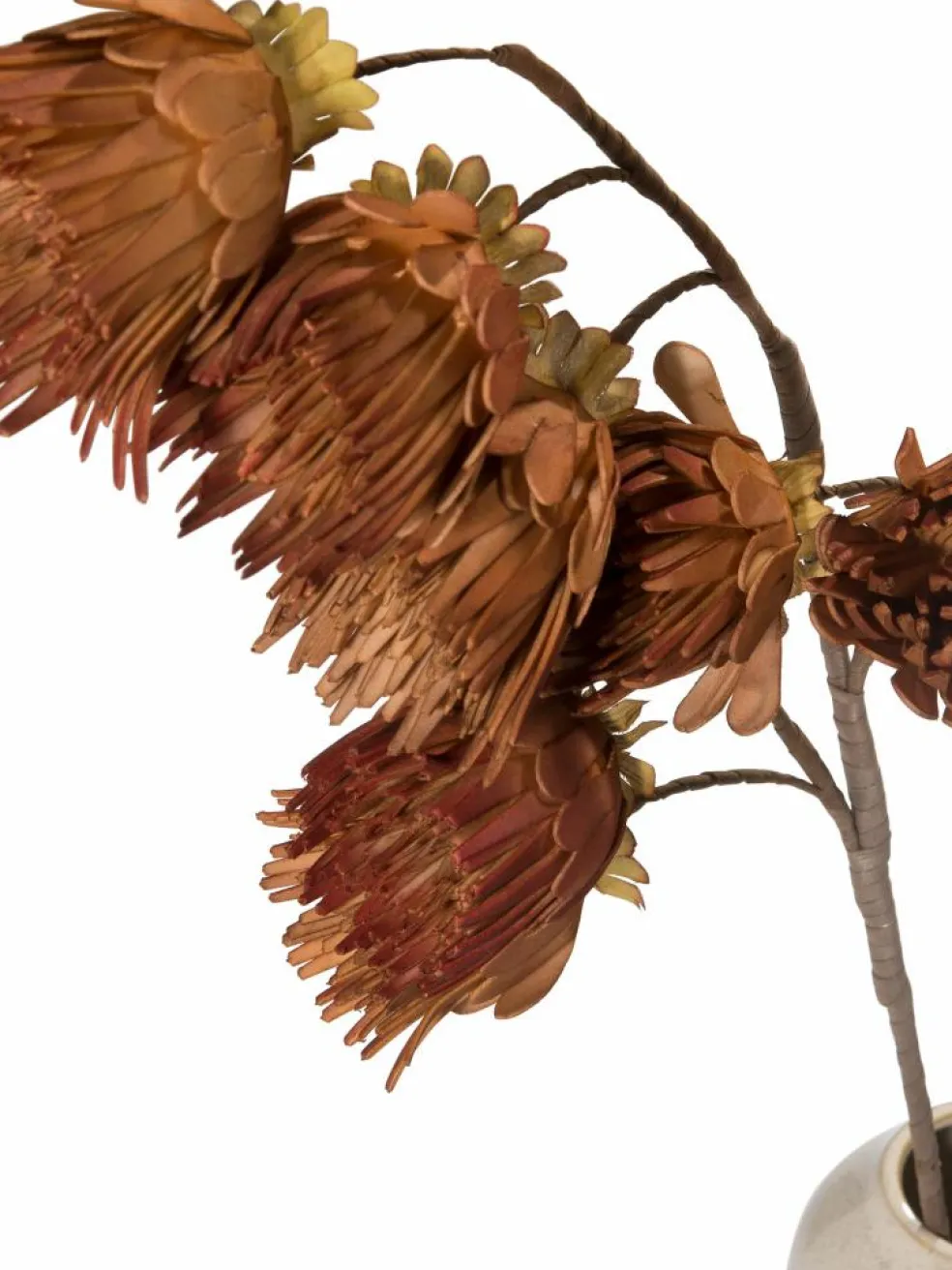 Softflower