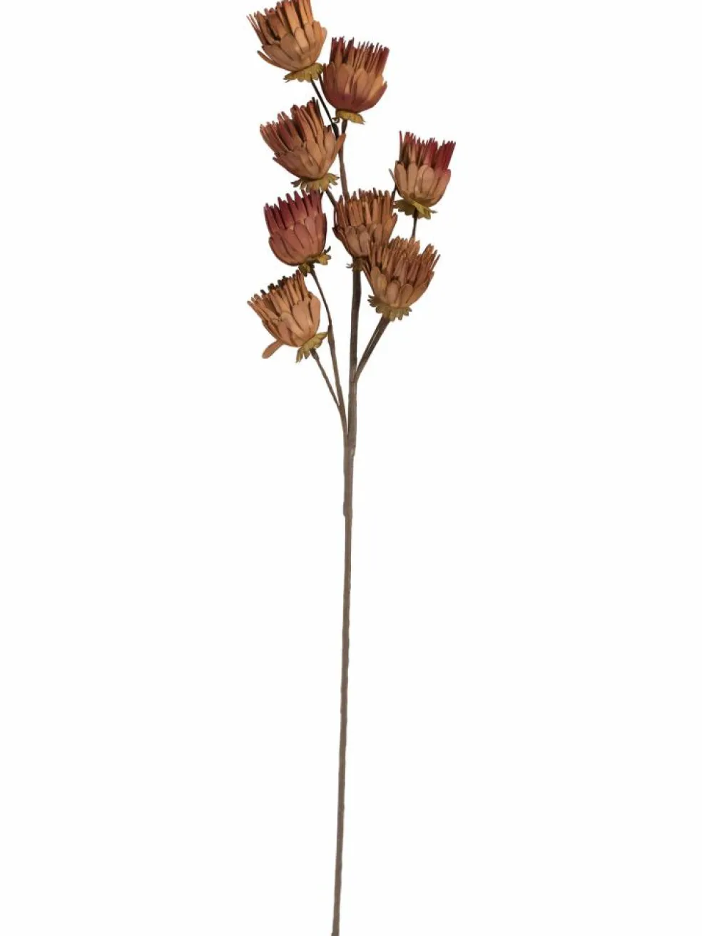 Softflower