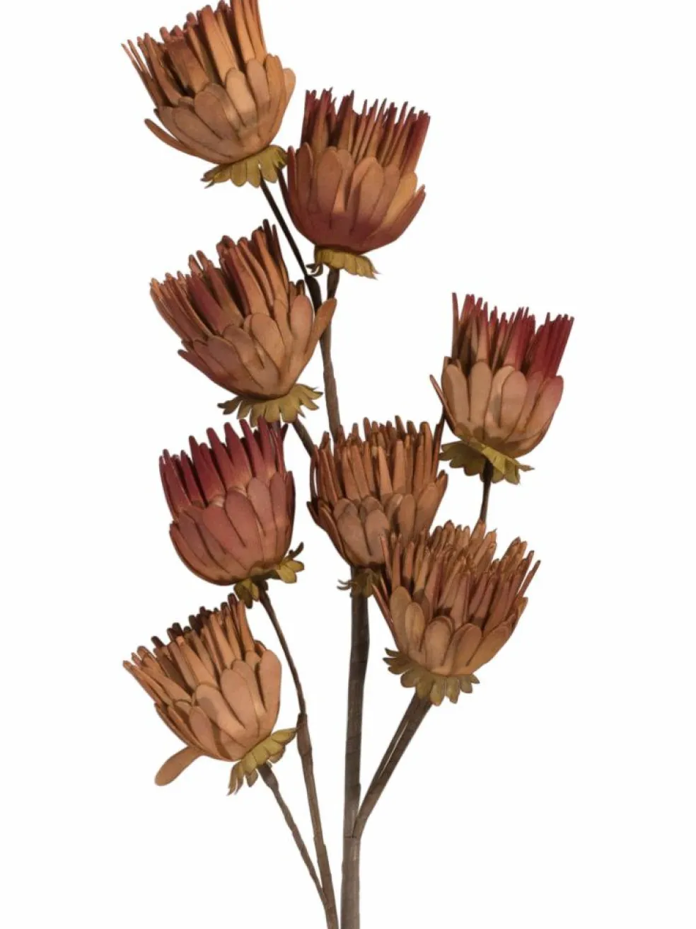 Softflower