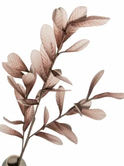 Softflower