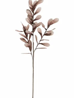 Softflower