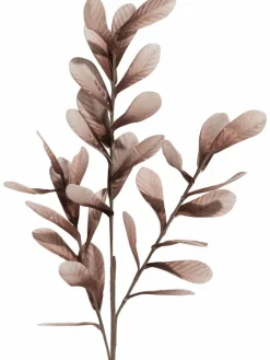 Softflower