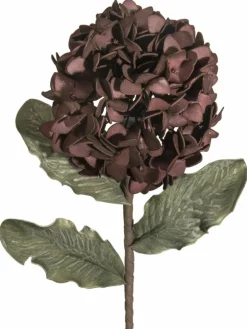 Softflower
