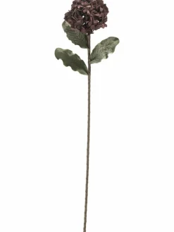 Softflower