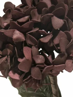 Softflower