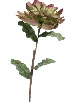 Softflower