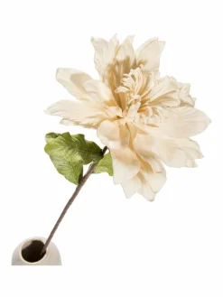 Softflower