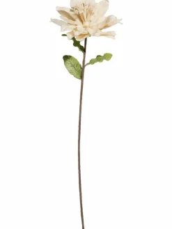 Softflower