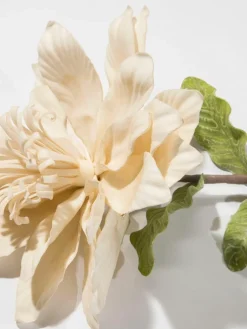 Softflower