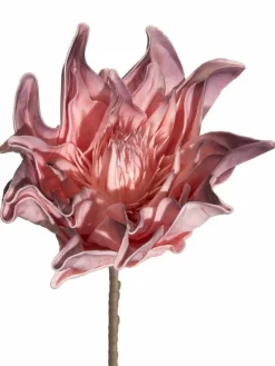 Softflower