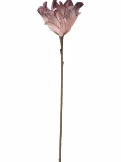 Softflower