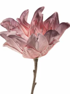 Softflower