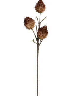 Softflower