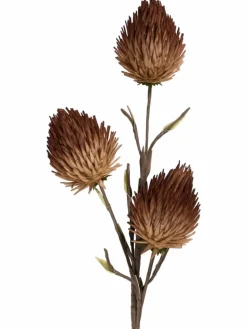 Softflower