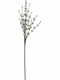 Softflower