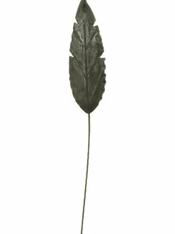 Softflower