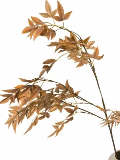 Softleaves