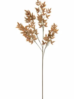 Softleaves