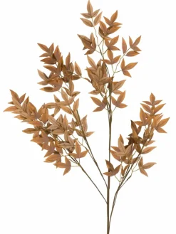 Softleaves