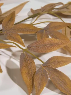 Softleaves