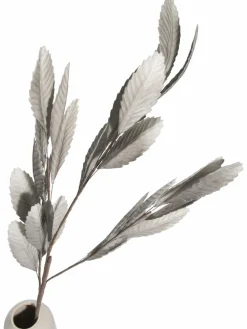 Softleaves