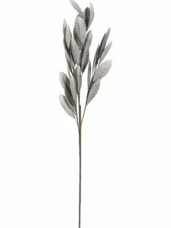 Softleaves