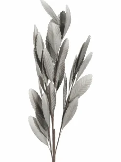 Softleaves