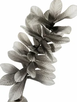 Softleaves