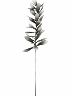 Softleaves