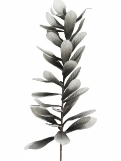 Softleaves