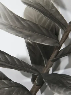 Softleaves