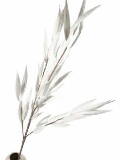 Softleaves