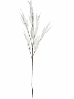 Softleaves