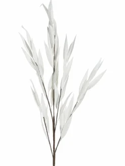 Softleaves
