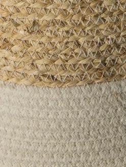 Sonora