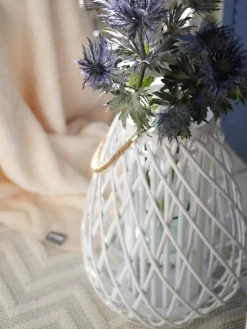Stelara