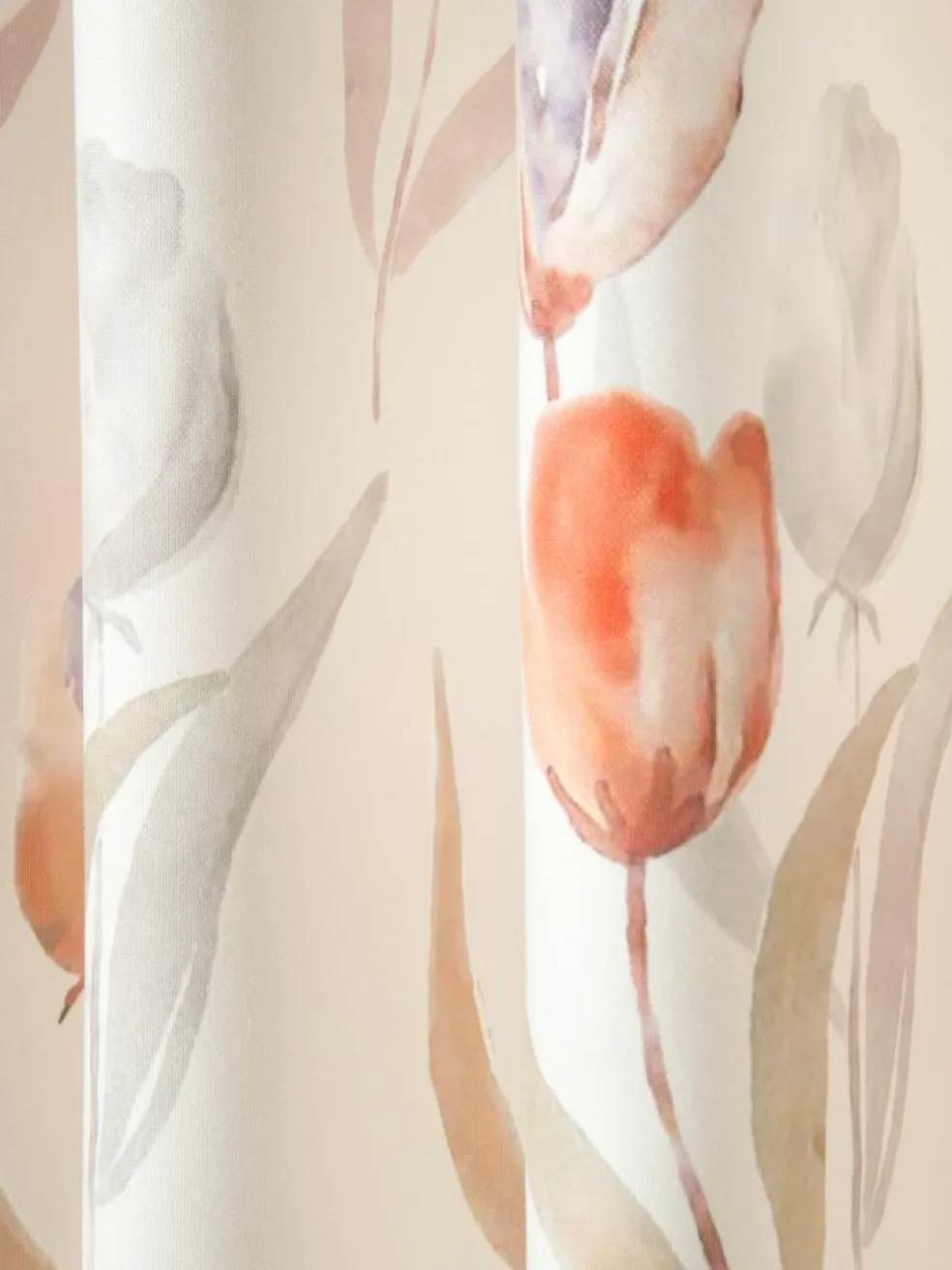 Tulissa
